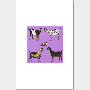 Nubian Goats Pattern Purple Posters and Art